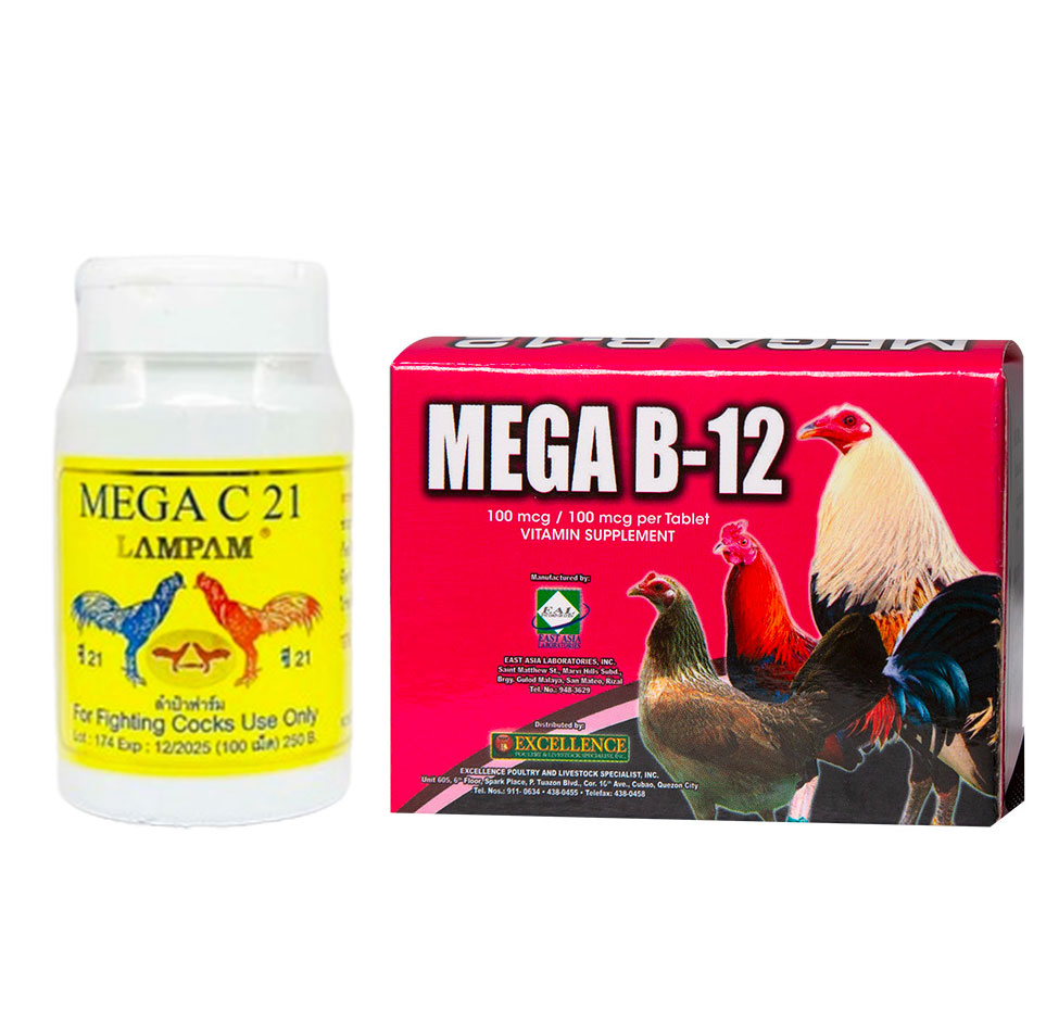 Combo thuốc nuôi Mega C21 và Mega B12 – Cặp thuốc nuôi kết hợp giúp gà tăng bo, săn chắc cơ bắp trong chế độ nuôi