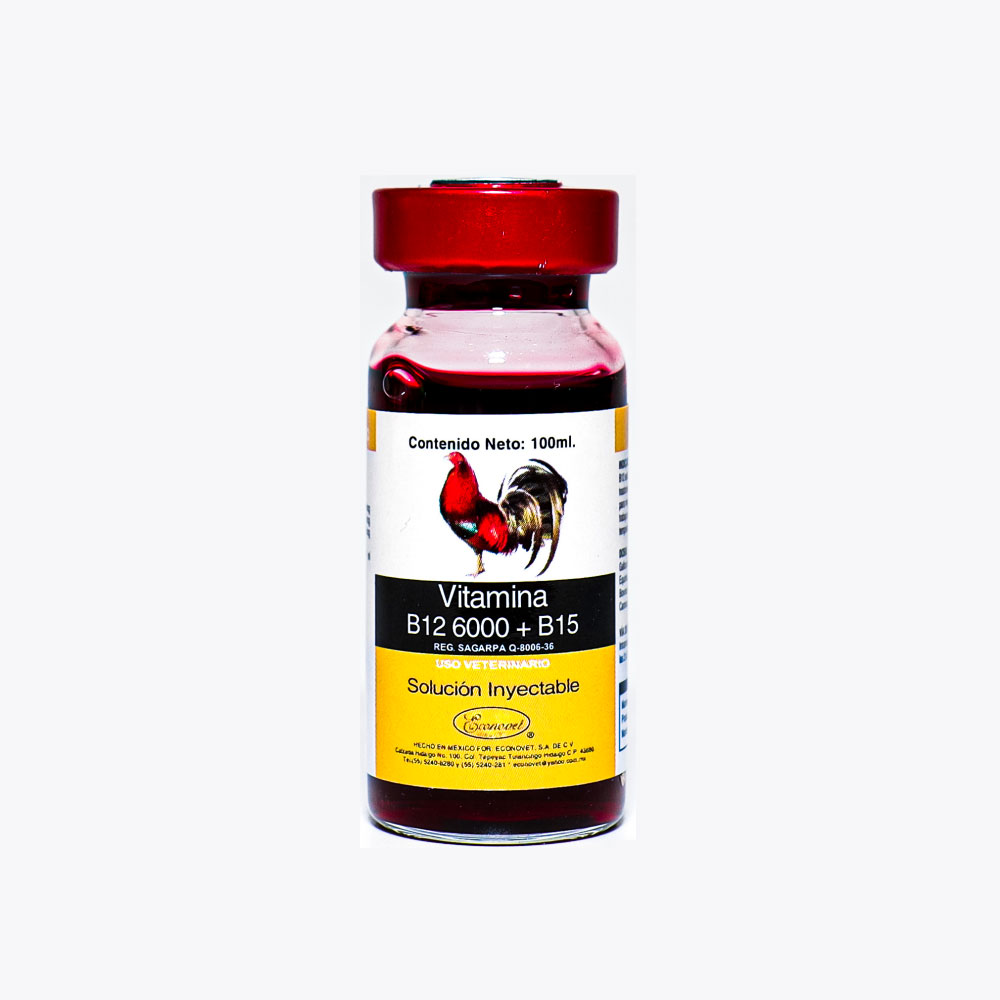 Thuốc nuôi gà đá VITAMIN B12 6000 + B15 (Chiết lẻ 10ml) – Giúp kích thích gà ăn ngon, ngăn ngừa thiếu máu hiệu quả